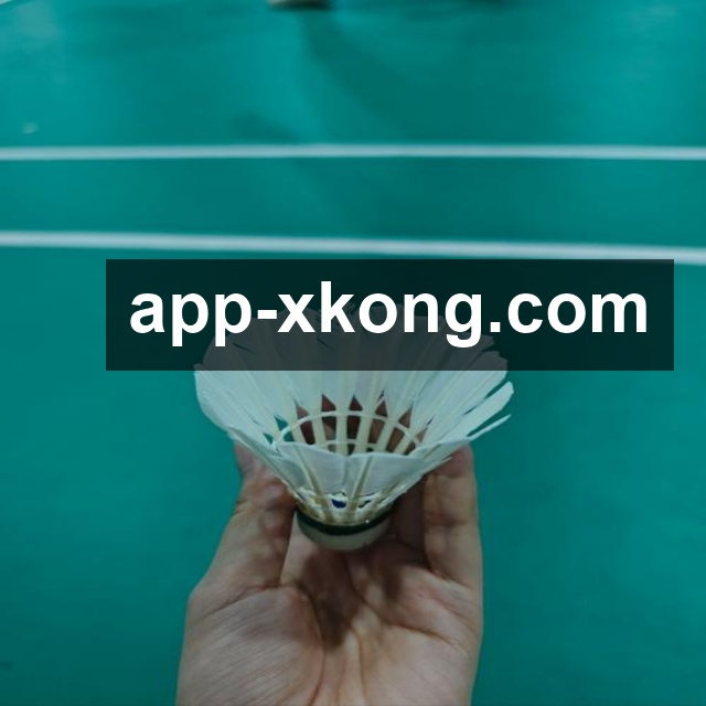赵金磊